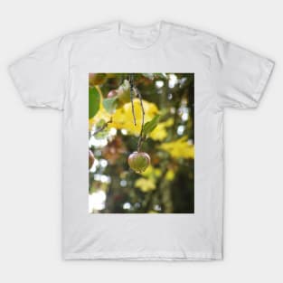 Autumn Sun rays #9, raindrops on apple T-Shirt